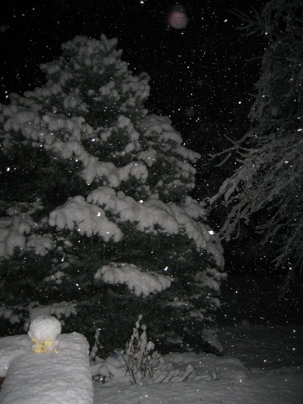 IMG_6876.JPG