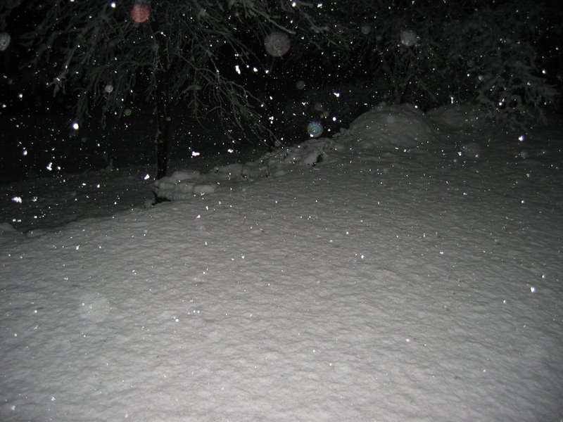 IMG_6879.JPG