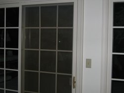 IMG_6889
