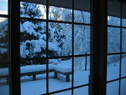 IMG_6899