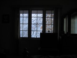 IMG_6904