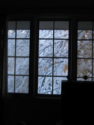 IMG_6905