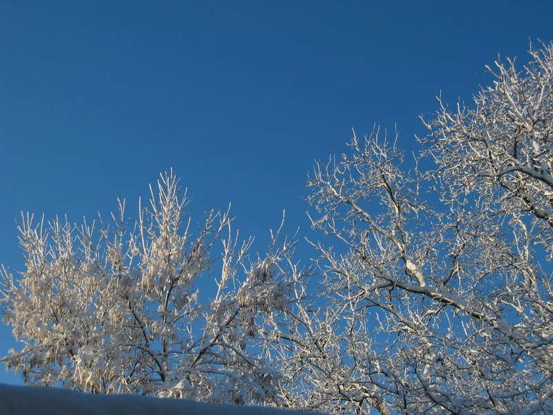 IMG_6906.JPG