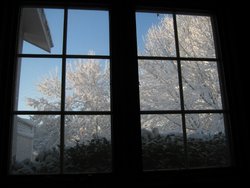 IMG_6908