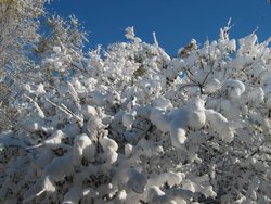 IMG_6910