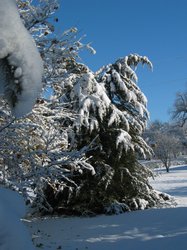 IMG_6915