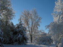 IMG_6917