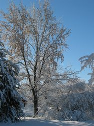 IMG_6918