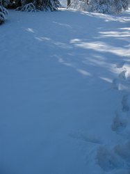 IMG_6921