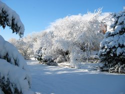 IMG_6925