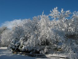 IMG_6927