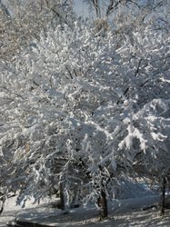 IMG_6929