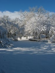 IMG_6930