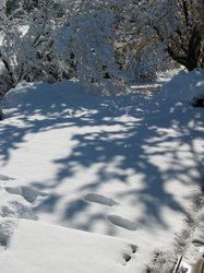 IMG_6948