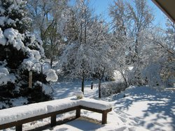 IMG_6950