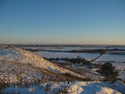 IMG_6951