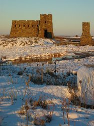 IMG_6954