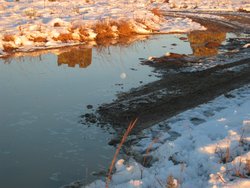 IMG_6963