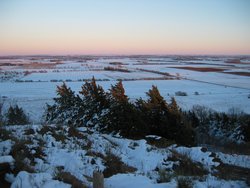 IMG_6970