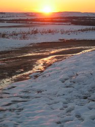 IMG_6971
