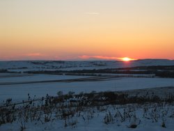 IMG_6978