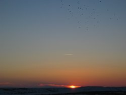 IMG_6979