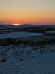 IMG_6980