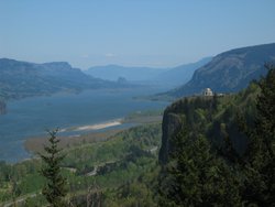 IMG_4962