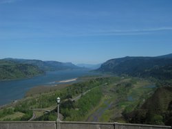 IMG_4967