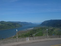 IMG_4970
