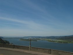 IMG_4971