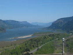 IMG_4973