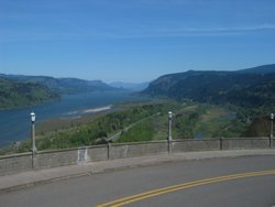IMG_4974