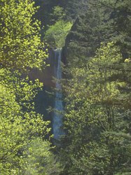 IMG_4978