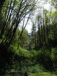 IMG_4979