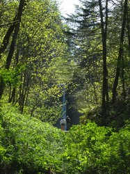 IMG_4980