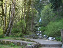 IMG_4981