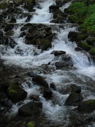 IMG_4983