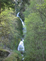 IMG_4985