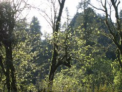 IMG_4991