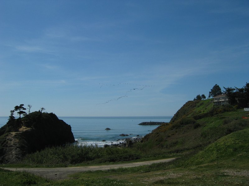 IMG_5009.JPG
