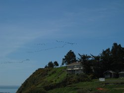 IMG_5010