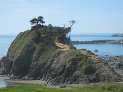 IMG_5018