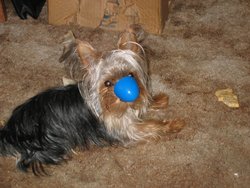 IMG_5023