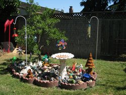 IMG_5050