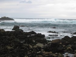 IMG_3720