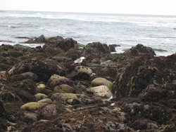 IMG_3722
