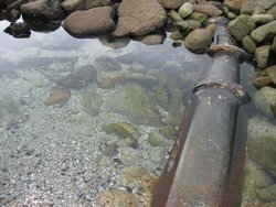 IMG_3732
