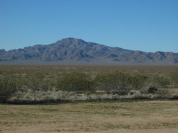 IMG_7082