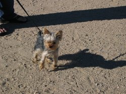 IMG_7086